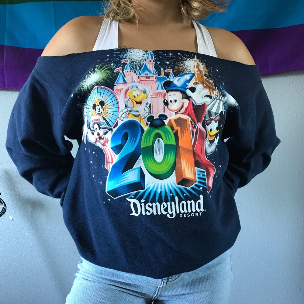 ⭐️2014 Disneyland sweatshirt